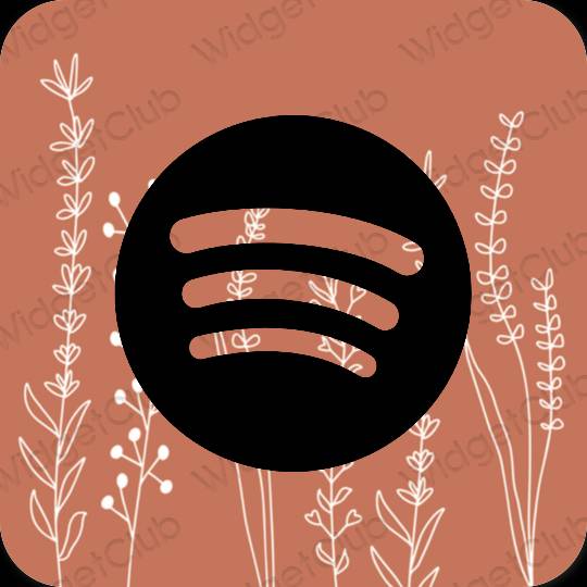 Esthetische Spotify app-pictogrammen