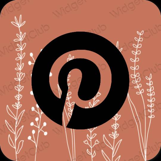 Esthetische Pinterest app-pictogrammen