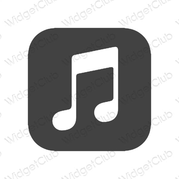 审美的 灰色的 Music 应用程序图标