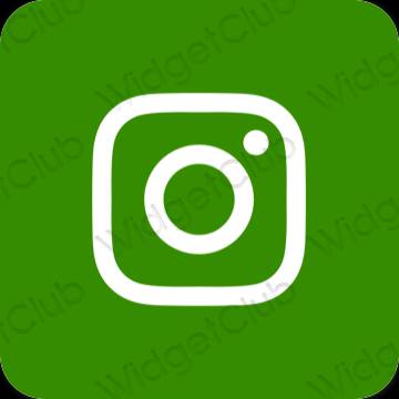 緑 Instagram おしゃれアイコン画像素材