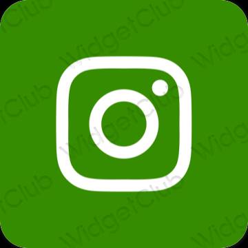 Ესთეტიური მწვანე Instagram აპლიკაციის ხატები