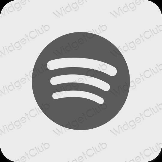 Esthétique grise Spotify icônes d'application