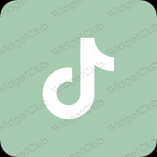 Aesthetic pastel blue TikTok app icons