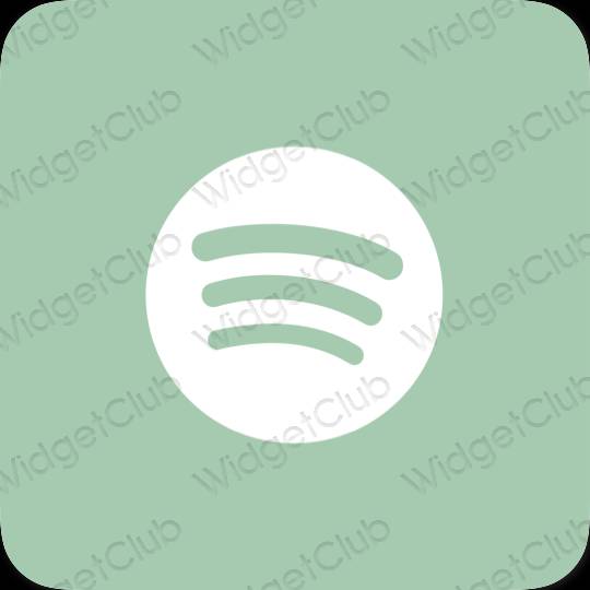 Aesthetic pastel blue Spotify app icons