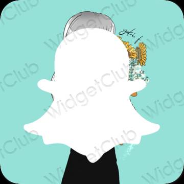 Icônes d'application snapchat esthétiques