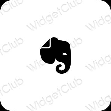 Pictograme pentru aplicații Evernote estetice