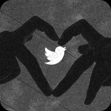 រូបតំណាងកម្មវិធី Twitter សោភ័ណភាព
