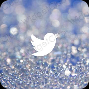 រូបតំណាងកម្មវិធី Twitter សោភ័ណភាព
