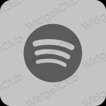 Icônes d'application Spotify esthétiques