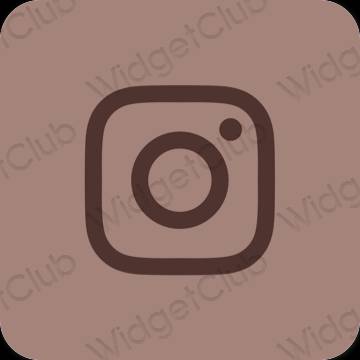 אייקוני אפליקציה Instagram אסתטיים