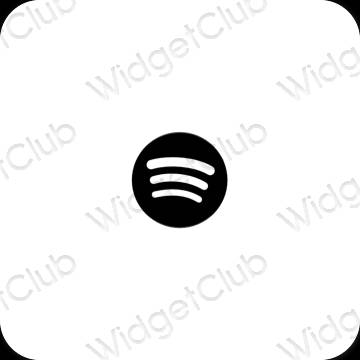 Esthetische Spotify app-pictogrammen