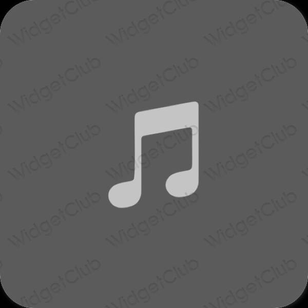 Estetické sivá Music ikony aplikácií