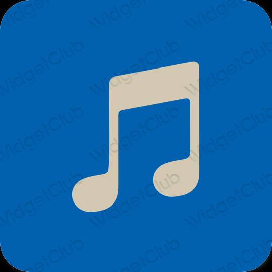 Estetski plava Music ikone aplikacija