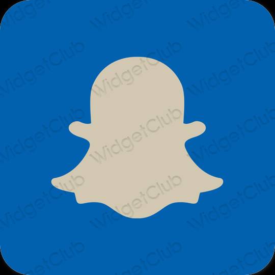 Aesthetic blue snapchat app icons