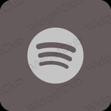 Esthetische Spotify app-pictogrammen