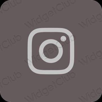 រូបតំណាងកម្មវិធី Instagram សោភ័ណភាព