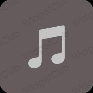 Esthetische Apple Music app-pictogrammen