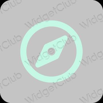 Stijlvol grijs Safari app-pictogrammen