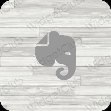 Estetico grigio Evernote icone dell'app