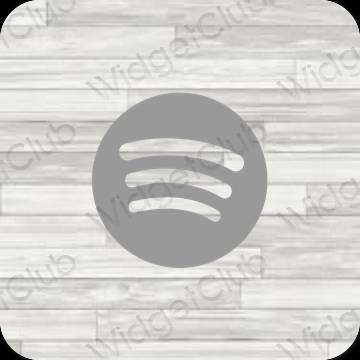 Biểu tượng ứng dụng Spotify thẩm mỹ