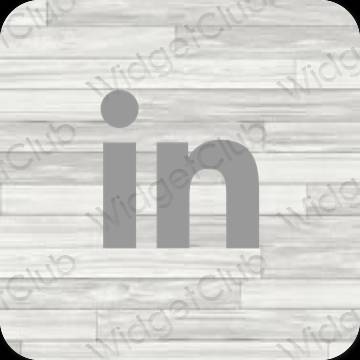 審美的 灰色的 Linkedin 應用程序圖標