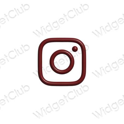 Esthetische Instagram app-pictogrammen