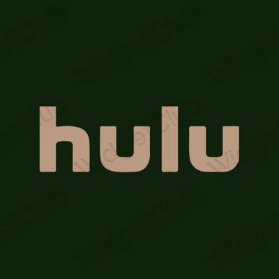 نمادهای برنامه زیباشناسی hulu