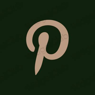 美学Pinterest 应用程序图标