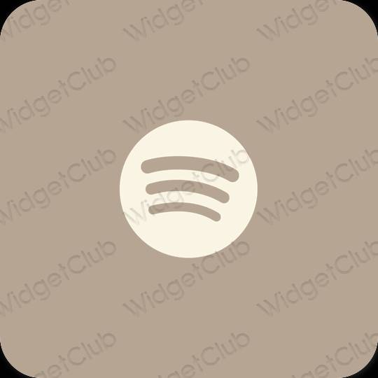 Icone delle app Spotify estetiche