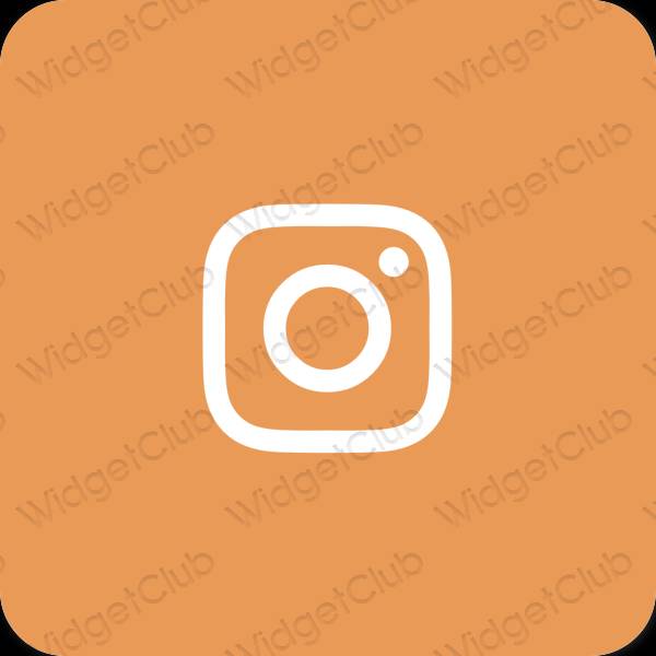 Естетичний коричневий Instagram значки програм