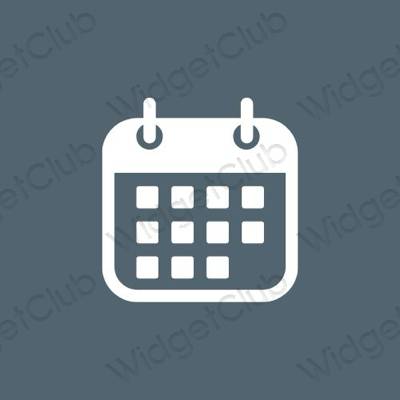 Esztétikus Calendar alkalmazásikonok
