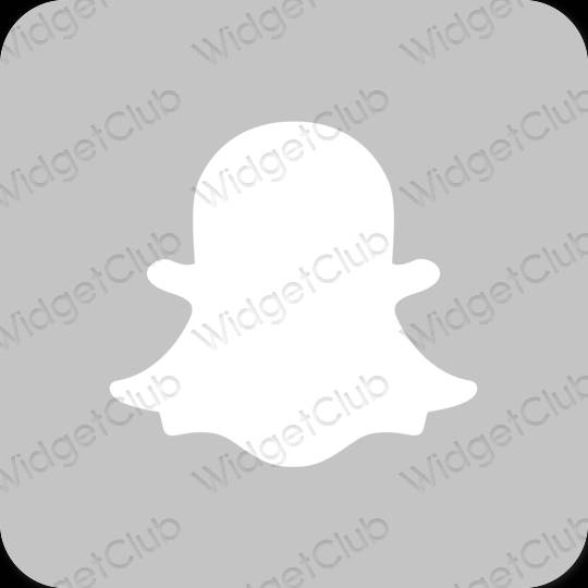 Esthétique grise snapchat icônes d'application