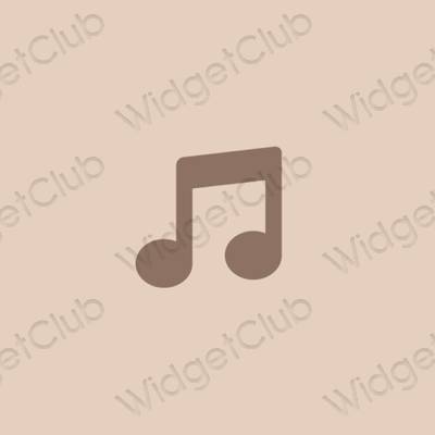 រូបតំណាងកម្មវិធី Music សោភ័ណភាព