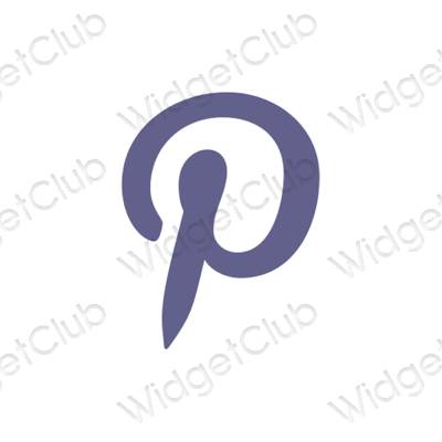 نمادهای برنامه زیباشناسی Pinterest