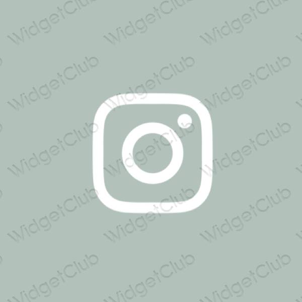Estetis hijau Instagram ikon aplikasi