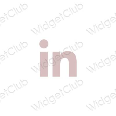 Esthetische Linkedin app-pictogrammen