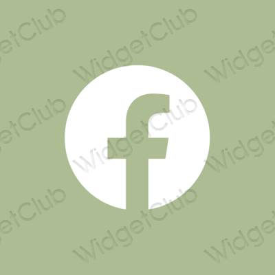 Aesthetic Facebook app icons