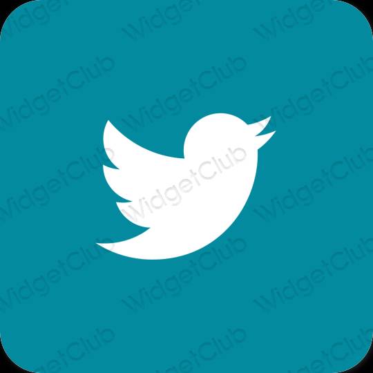 Esthétique bleu Twitter icônes d'application