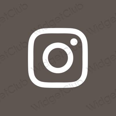 Æstetiske Instagram app-ikoner