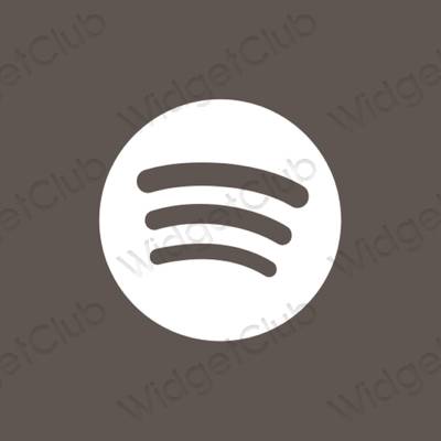 Estetske Spotify ikone aplikacija