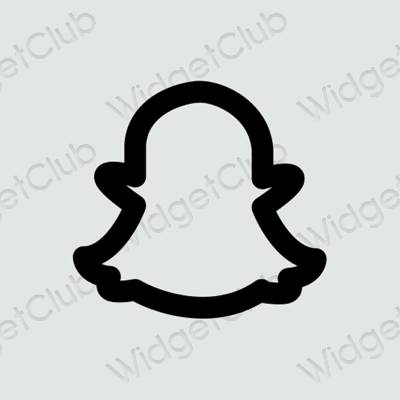 Aesthetic snapchat app icons