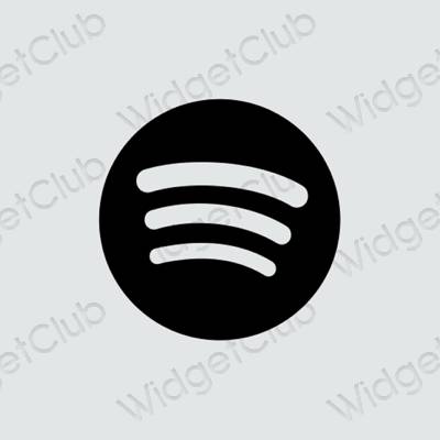 Aesthetic Spotify app icons