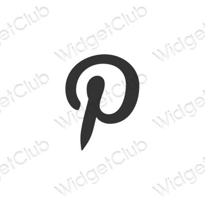 美学Pinterest 应用程序图标