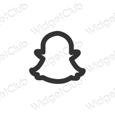Aesthetic snapchat app icons