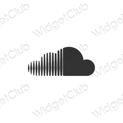រូបតំណាងកម្មវិធី Music សោភ័ណភាព