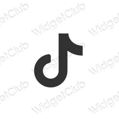 រូបតំណាងកម្មវិធី TikTok សោភ័ណភាព