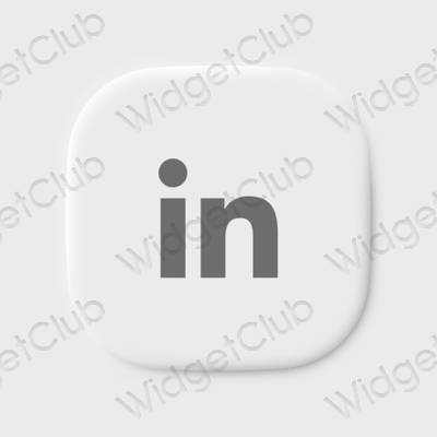 Icone delle app Linkedin estetiche