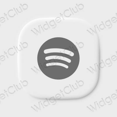 Aesthetic Spotify app icons