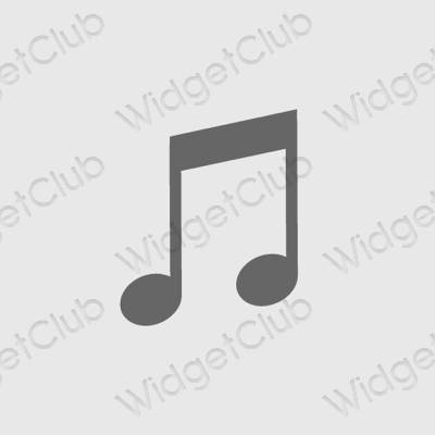 រូបតំណាងកម្មវិធី Spotify សោភ័ណភាព