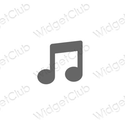 រូបតំណាងកម្មវិធី Music សោភ័ណភាព